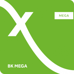Book-Keeping Mega Logo